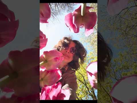 Lale: Bir İz, Bir Hikâye