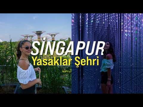 Singapore, the City of Prohibitions: Rules, Fines, and Modern Life