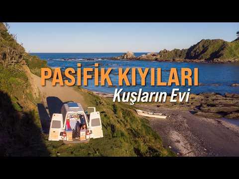 From Mountains to the Ocean: Exploring Chile’s Pacific Coast by Van