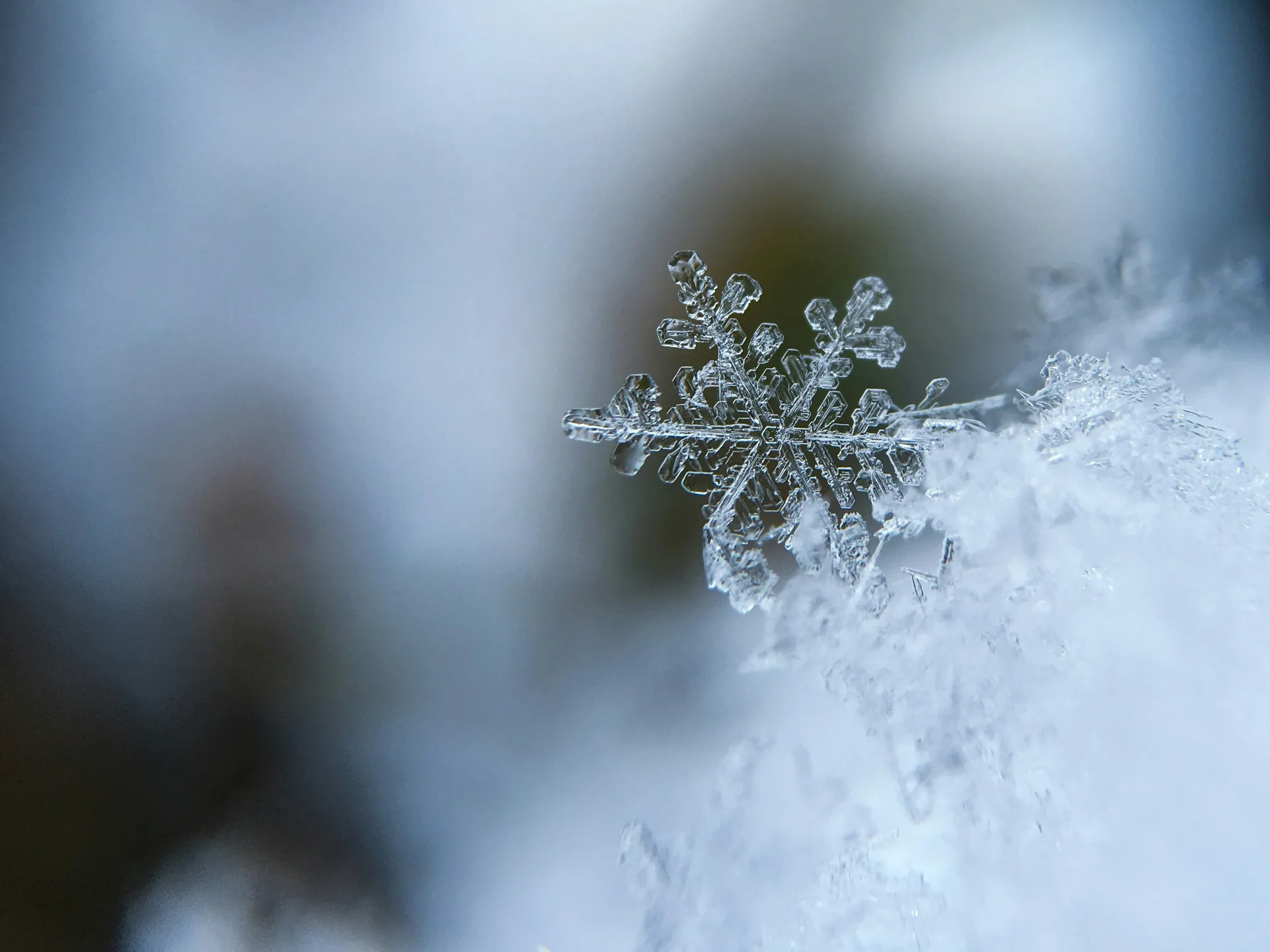 The Magic of Snow